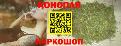шишки Волжский