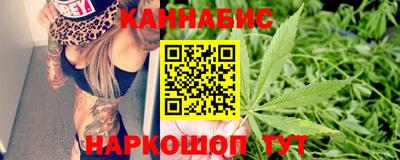 шишки Волжский