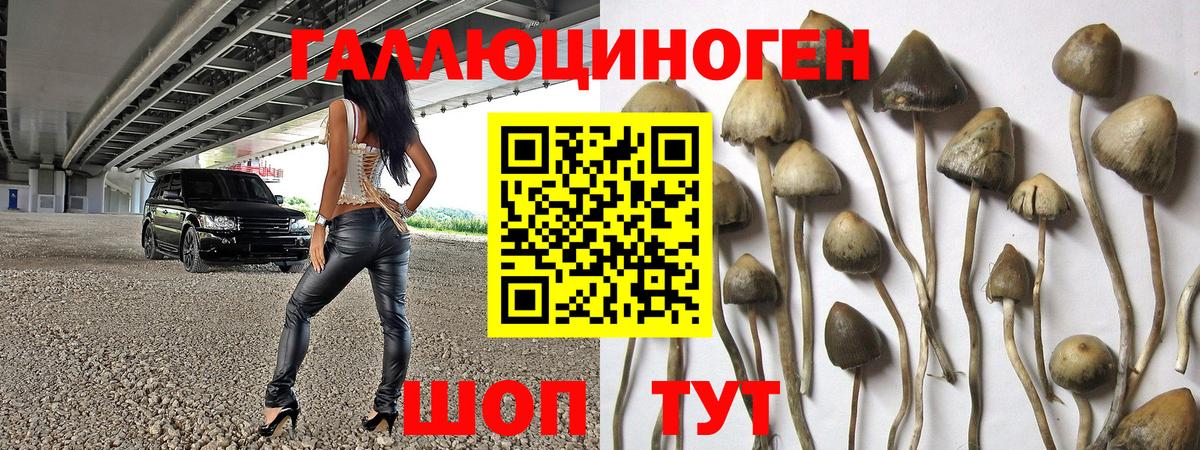 где найти наркотики  Псилоцибиновые грибы мухоморы  Вход с VPN  Североуральск 