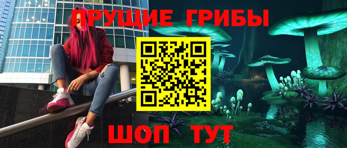 Галлюциногенные грибы Cubensis Североуральск